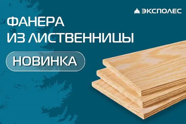 Новинка. Фанера из лиственницы