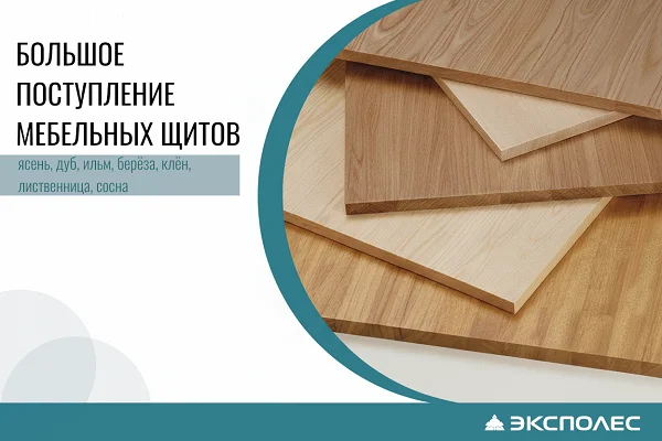 Поступление мебельных щитов