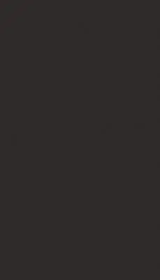 Однотонные декоры ЛДСП EGGER лдсп u899 нежный черный st9, 2800 х 2070 х 16 мм, egger