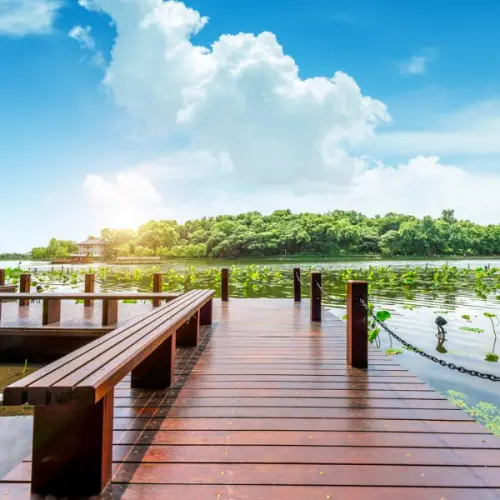 Масла и лаки для дерева TimberCare масло льняное для наружных работ timbercare, прозрачный, 2,5л