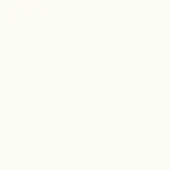 ЛДСП W1100 Белый Альпийский ST9, 2800 х 2070 х 16 мм, Egger Однотонные декоры ЛДСП EGGER лдсп w1100 белый альпийский st9, 2800 х 2070 х 16 мм, egger