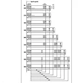 Направляющие скрытого монтажа DTC направляющие скрытого монтажа dtc, 350мм, 25 кг, част. выдв. с доводч.